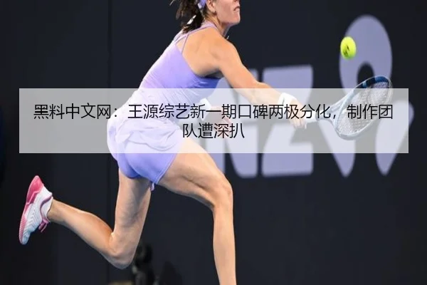 黑料中文网：王源综艺新一期口碑两极分化，制作团队遭深扒